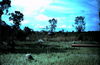 Filename=1969-06_160_ant_hills.JPG
Filesize=358KiB
Dimensions=1242x811
Date added=Apr 25, 2013 1969-06_160_ant_hills.JPG