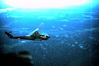 Filename=1969-06_178_cobra_gun_ship.JPG
Filesize=199KiB
Dimensions=1142x758
Date added=Apr 25, 2013 1969-06_178_cobra_gun_ship.JPG