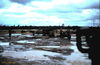 Filename=1969-06_207.jpg
Filesize=243KiB
Dimensions=1069x695
Date added=Apr 26, 2013 1969-06_207.jpg