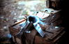 Filename=1969-06_214_NVA_rocket.jpg
Filesize=203KiB
Dimensions=1141x739
Date added=Apr 26, 2013 1969-06_214_NVA_rocket.jpg