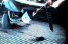 Filename=1969-06_224.jpg
Filesize=309KiB
Dimensions=1041x671
Date added=Apr 26, 2013 1969-06_224.jpg