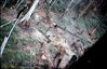 Filename=1969-06_224_landing_zone.jpg
Filesize=379KiB
Dimensions=1055x684
Date added=Apr 26, 2013 1969-06_224_landing_zone.jpg