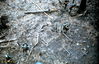 Filename=1969-06_225.jpg
Filesize=372KiB
Dimensions=1029x668
Date added=Apr 26, 2013 1969-06_225.jpg