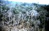 Filename=1969-06_232.jpg
Filesize=394KiB
Dimensions=1041x671
Date added=Apr 26, 2013 1969-06_232.jpg