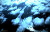 Filename=1969-06_236.jpg
Filesize=217KiB
Dimensions=1134x719
Date added=Apr 26, 2013 1969-06_236.jpg