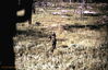 Filename=1969-06_253_long_range_patrol.jpg
Filesize=324KiB
Dimensions=1056x686
Date added=Apr 29, 2013 1969-06_253_long_range_patrol.jpg