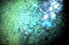 1969-07_365_canister_exploding.jpg