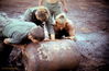 1969-07_378_loading_water_blivet_on_chopper_Son_Be.jpg