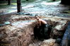 Filename=1969-08_472_DA.jpg
Filesize=369KiB
Dimensions=1169x767
Date added=Apr 24, 2013 1969-08_472_DA.jpg