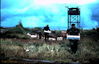 1969-08_491_gas_canisters.jpg