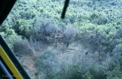  VC houch in the jungle '67 
JP Edwards Photo
