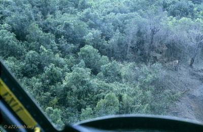  VC houch in jungle 
JP Edwards Photo

