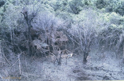  VC houch in the jungle 
JP Edwards Photo
