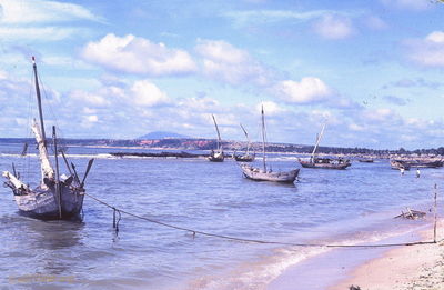  Phan Thiet fishing fleet 
JP Edwards Photo
