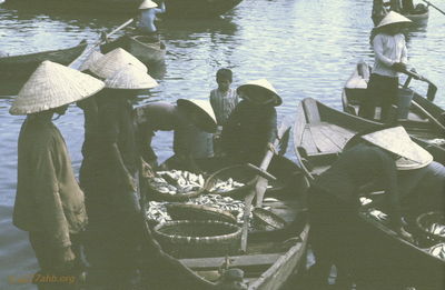 Phan Thiet fish harvest '67 
JP Edwards Photo
