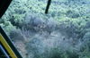 Filename=JPECombat127.jpg
Filesize=257KiB
Dimensions=881x575
Date added=Jan 09, 2010 JPECombat127.jpg