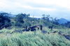 Filename=JPECombat133.jpg
Filesize=213KiB
Dimensions=881x575
Date added=Jan 09, 2010 JPECombat133.jpg