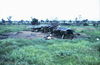Filename=JPECombat144.jpg
Filesize=171KiB
Dimensions=881x575
Date added=Jan 09, 2010 JPECombat144.jpg