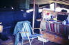 Filename=JPELZBetty110.jpg
Filesize=173KiB
Dimensions=881x575
Date added=Jan 09, 2010 JPELZBetty110.jpg