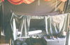 Filename=JPELZBetty112.jpg
Filesize=146KiB
Dimensions=881x575
Date added=Jan 09, 2010 JPELZBetty112.jpg