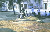 Filename=JPEPhanThiet031.jpg
Filesize=274KiB
Dimensions=881x575
Date added=Jan 09, 2010 JPEPhanThiet031.jpg