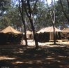 Filename=Tent_City.jpg
Filesize=264KiB
Dimensions=981x960
Date added=Nov 01, 2018 Tent_City.jpg