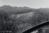 Dirnberger Combat landing west of Evans.jpg