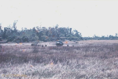 LZ - III Corps
Craig Tonjes Photo

This is a photo of Craig Tonjes bird
