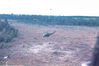 09TonjesMy Bird 1.jpg