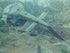 Filename=49BF2-26.jpg
Filesize=95KiB
Dimensions=716x537
Date added=Feb 15, 2010 49BF2-26.jpg