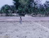 Filename=55BF2-56.jpg
Filesize=197KiB
Dimensions=717x558
Date added=Feb 15, 2010 55BF2-56.jpg