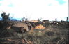 JWestenskow110_Phan_Thiet_AO_ARVN_outpost_after_battle.jpg