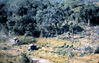 JWestenskow129_Phan_Thiet_AO_clearing_Hwy_101.jpg