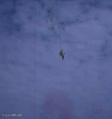 John Ray Photo
