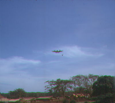 John Ray Photo
