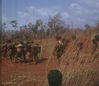 Filename=JRICorps166.jpg
Filesize=203KiB
Dimensions=912x789
Date added=Mar 19, 2010 JRICorps166.jpg