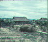 Filename=JRICorps225.jpg
Filesize=226KiB
Dimensions=911x797
Date added=Mar 19, 2010 JRICorps225.jpg