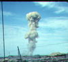 Filename=JRICorps232.jpg
Filesize=142KiB
Dimensions=891x811
Date added=Mar 19, 2010 JRICorps232.jpg