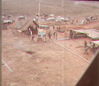 JRICorps445.jpg