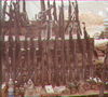 JRICorps449.jpg