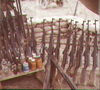 JRICorps450.jpg