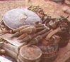 JRICorps451.jpg
