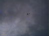 Filename=JRICorps86.jpg
Filesize=140KiB
Dimensions=1196x870
Date added=Mar 19, 2010 JRICorps86.jpg