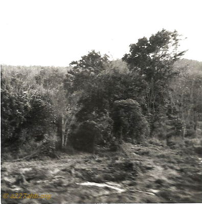 Joseph "Pete" Heiman Photo
