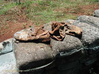 Old GI shoes atop old sand bags at Khe Sanh
Doc McBride Photo

Modern Day Khe Sanh

From Bob Witt. "Doc Mcbride, Mike Sprayberry's medic at LZ Tiger, took these pictures on his return trip to Vietnam. He returned the A Shau to look for his unit's MIA's lost at Tiger. Doc fortunately survived serious wounds received on the road below Tiger on April 25, 1968. Mike Sprayberry received the MOH for going out that night to rescue Doc & the rest of his patrol. Their unit was on board for the first Combat Assault's into LZ Tiger."
