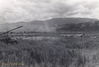 Dirnberger Laager near Khe Sanh.jpg