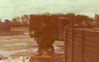254RH80.jpg