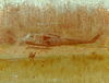 255RH81.jpg