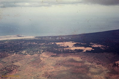 Lee King Photo
