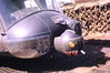 Filename=LeeKing102.jpg
Filesize=260KiB
Dimensions=1037x691
Date added=Jul 31, 2013 LeeKing102.jpg